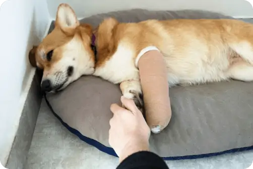 Lyda McKay